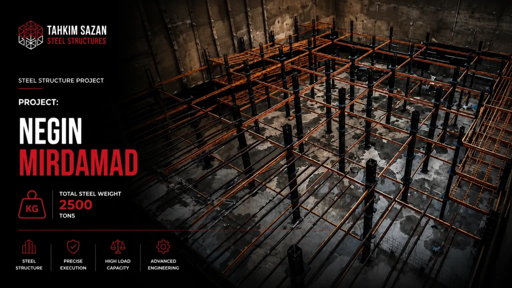 Negin Mirdamad Project